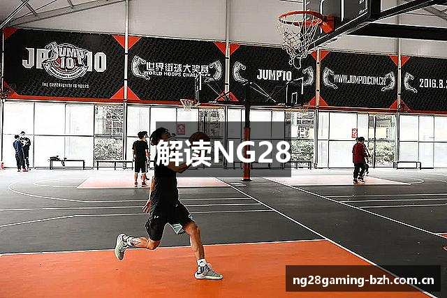 解读NG28